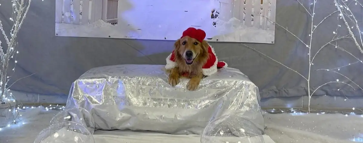 Stormy en sesión de fotos