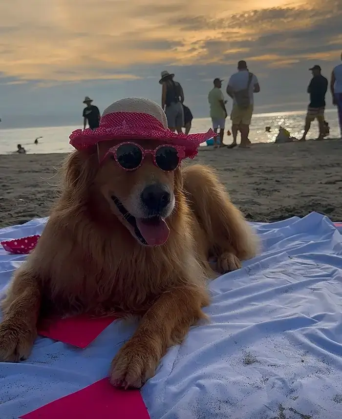 Stormy en la playa de cumpleaños