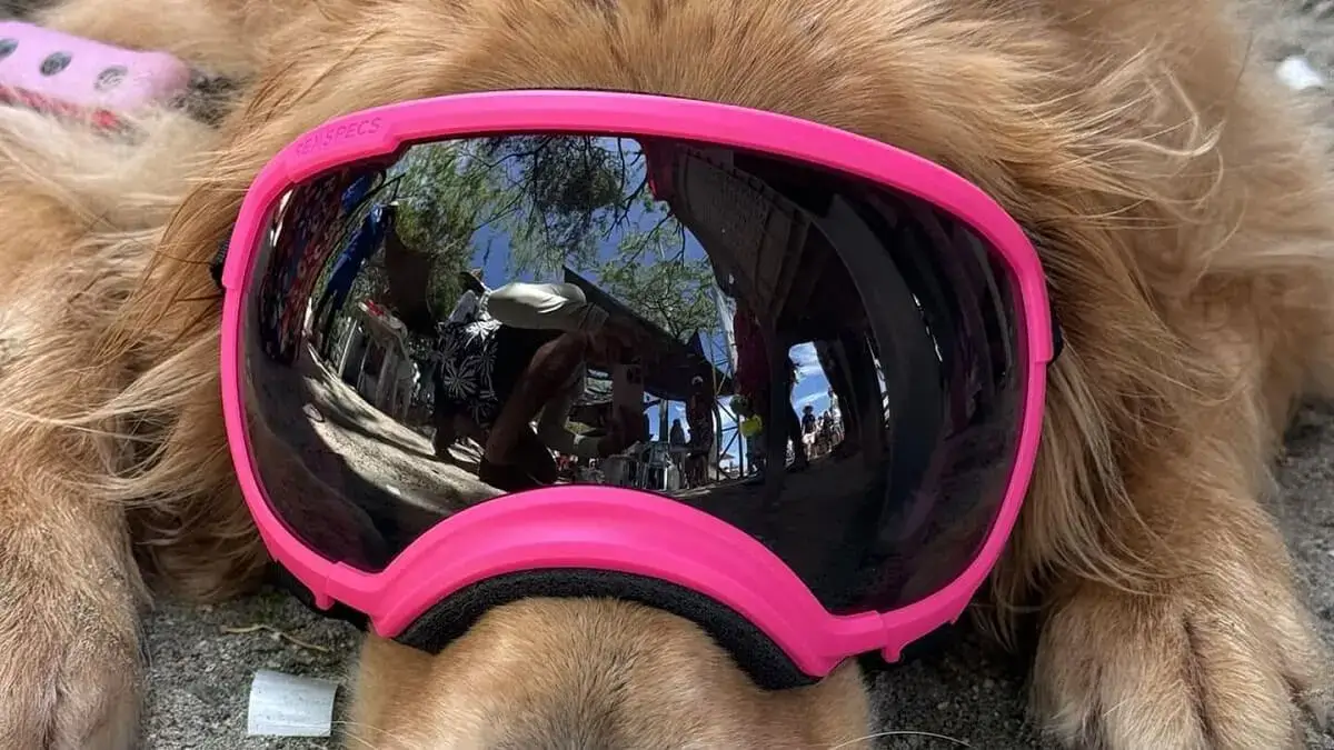 Stormy en la playa en Santa Marta