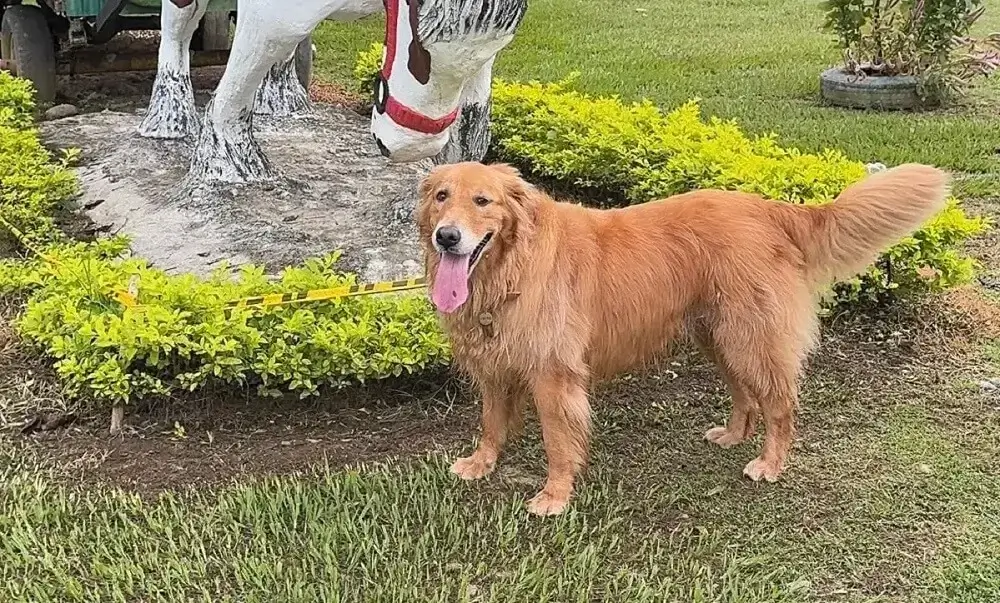 Stormy de vacaciones